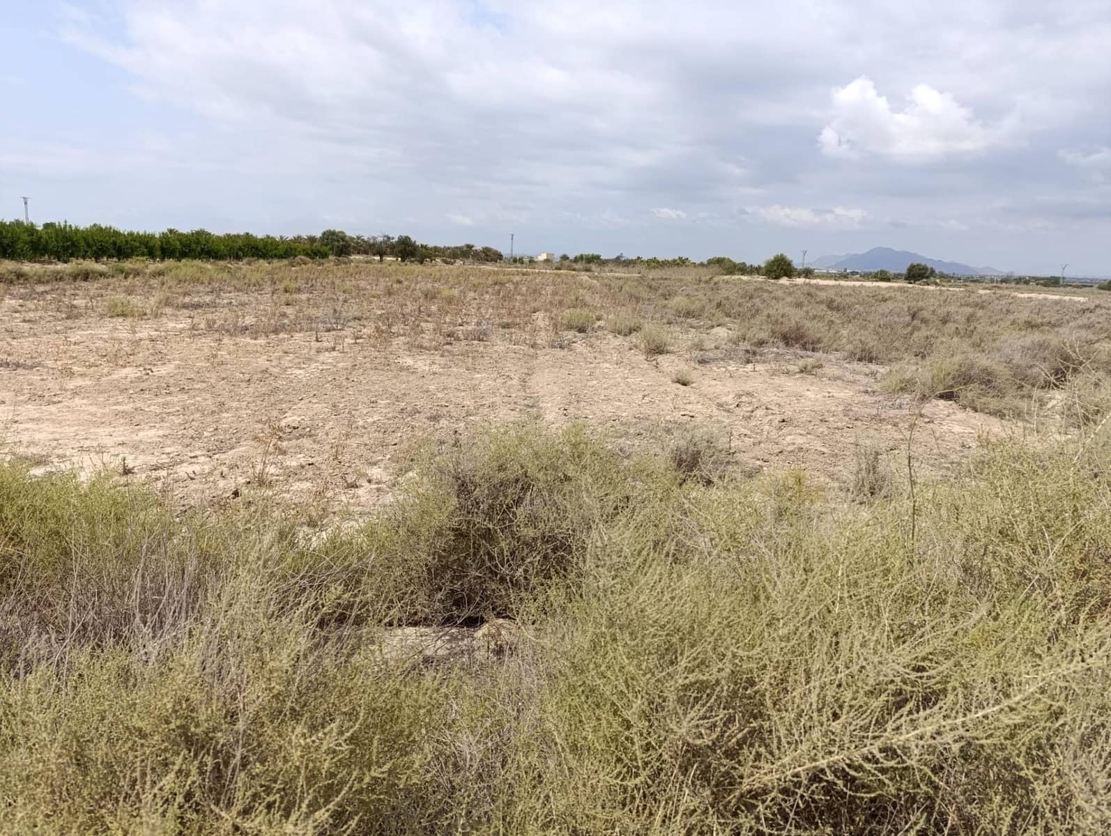 Rakentamaton maa myytävänä paikassa El Molar - 25 000 € (Ref: 8405393)