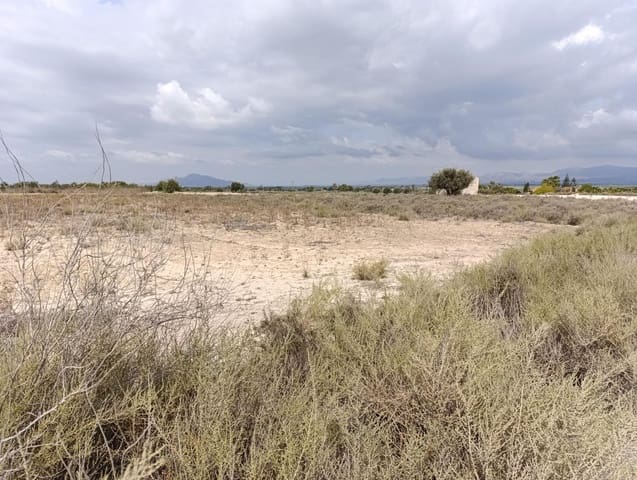 Undeveloped Land for sale in El Molar, Elche / Elx - € 25,000 (Ref: 8405393)