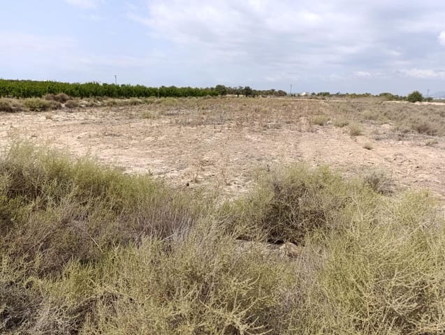 Undeveloped Land for sale in El Molar, Elche / Elx - € 25,000 (Ref: 8405393)