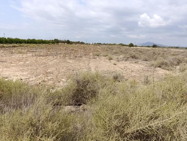 Undeveloped Land for sale in El Molar, Elche / Elx - € 25,000 (Ref: 8405393)