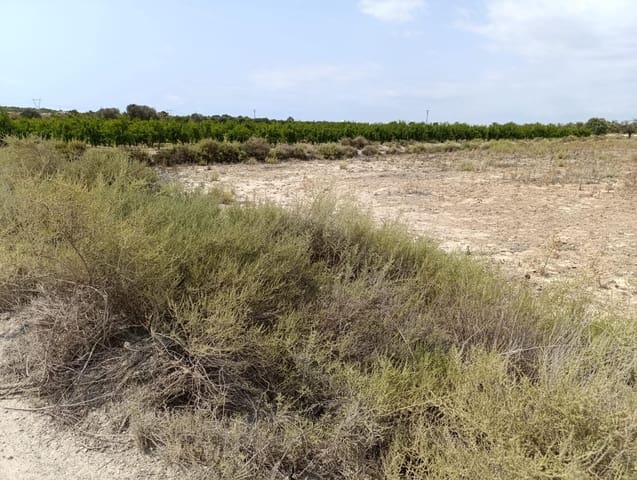 Undeveloped Land for sale in El Molar, Elche / Elx - € 25,000 (Ref: 8405393)