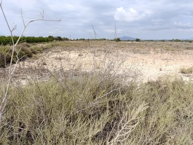 Undeveloped Land for sale in El Molar, Elche / Elx - € 25,000 (Ref: 8405393)