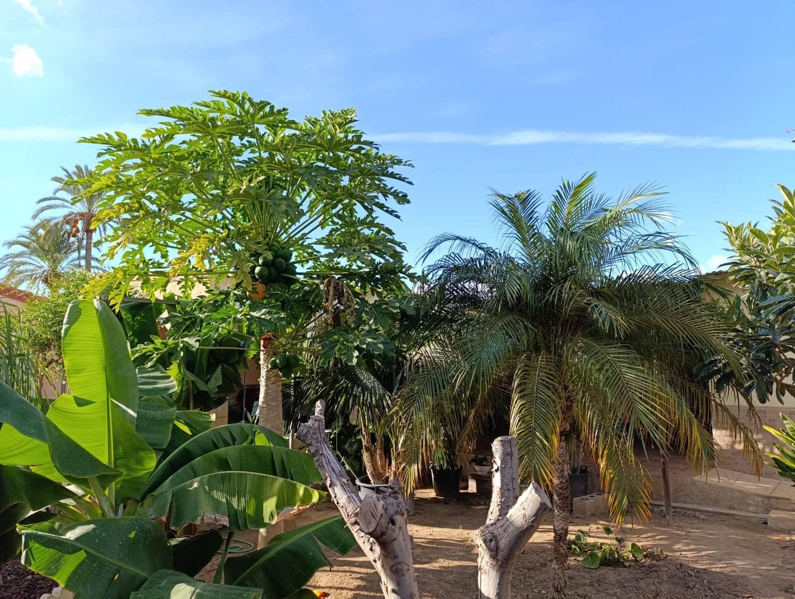 5 soveværelse Villa til salg i Matola med swimmingpool - € 500.000 (Ref: 9218627)