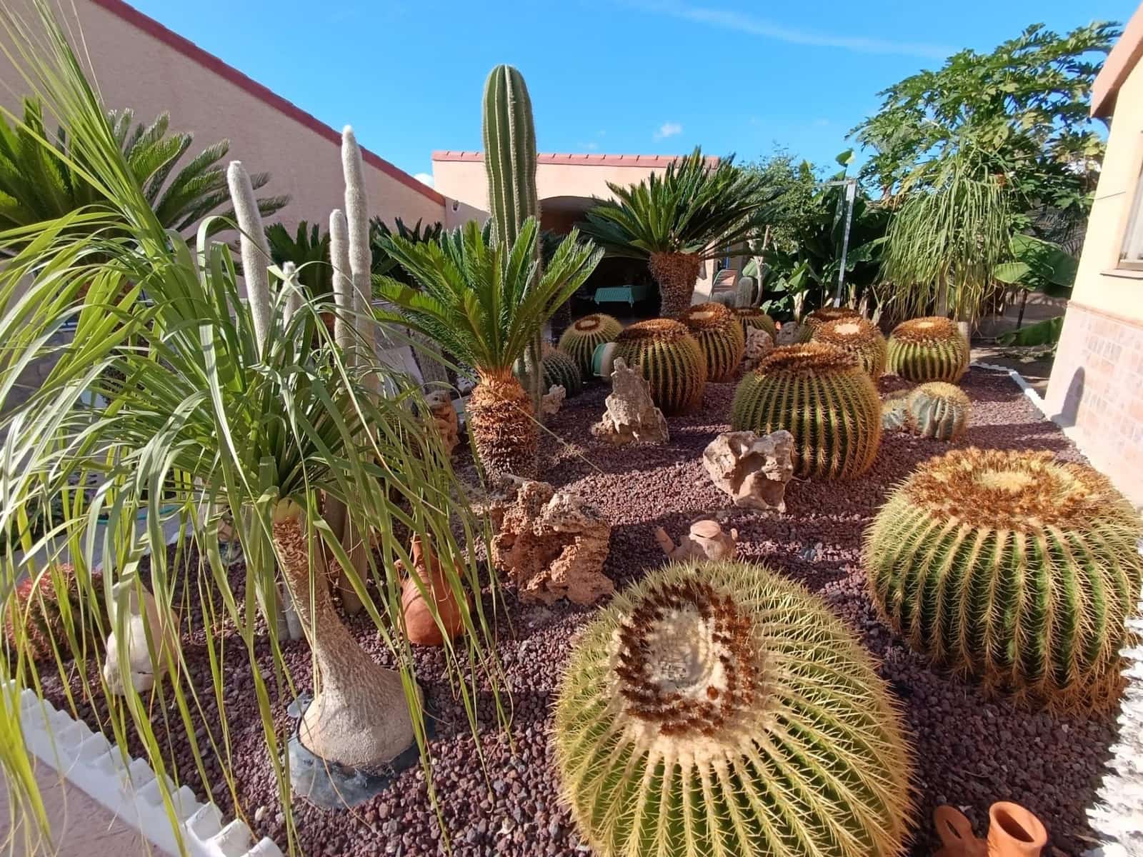 5 soveværelse Villa til salg i Matola med swimmingpool - € 500.000 (Ref: 9218627)