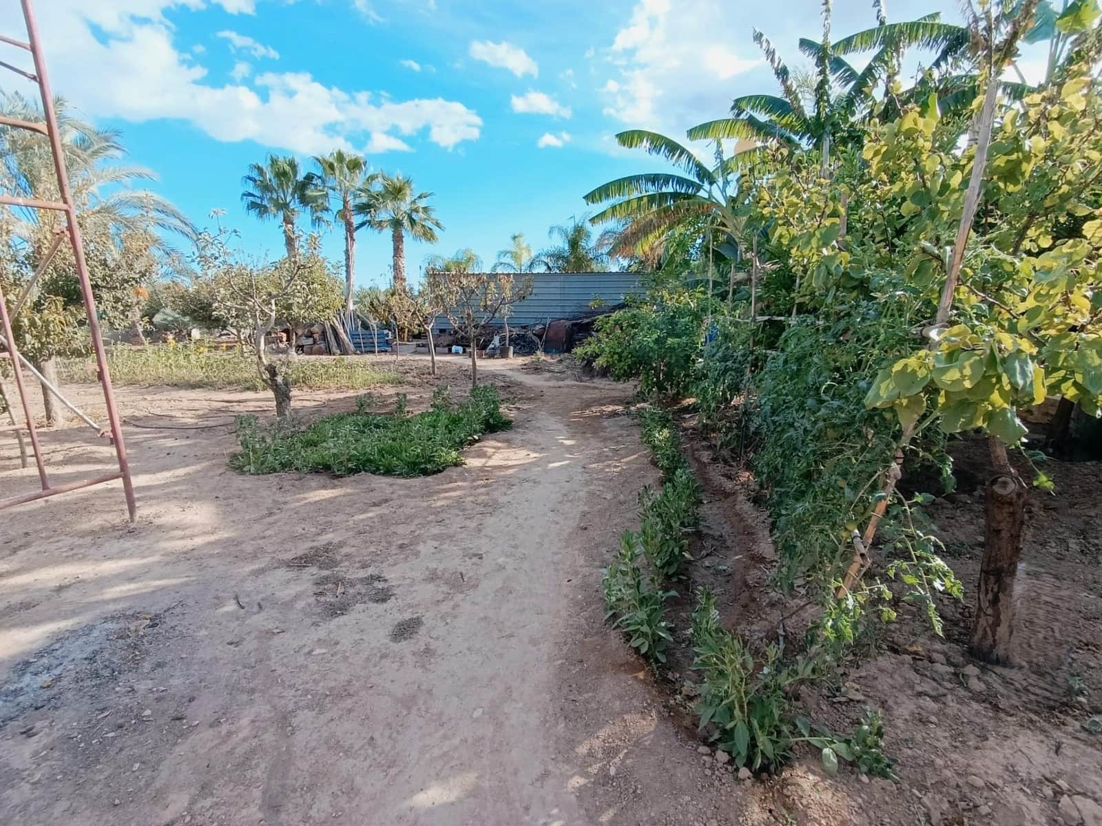 5 soveværelse Villa til salg i Matola med swimmingpool - € 500.000 (Ref: 9218627)