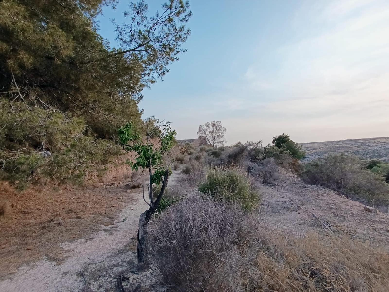 2 sypialnia Finka/Dom wiejski na sprzedaż w Elche / Elx - 130 000 € (Ref: 9218636)