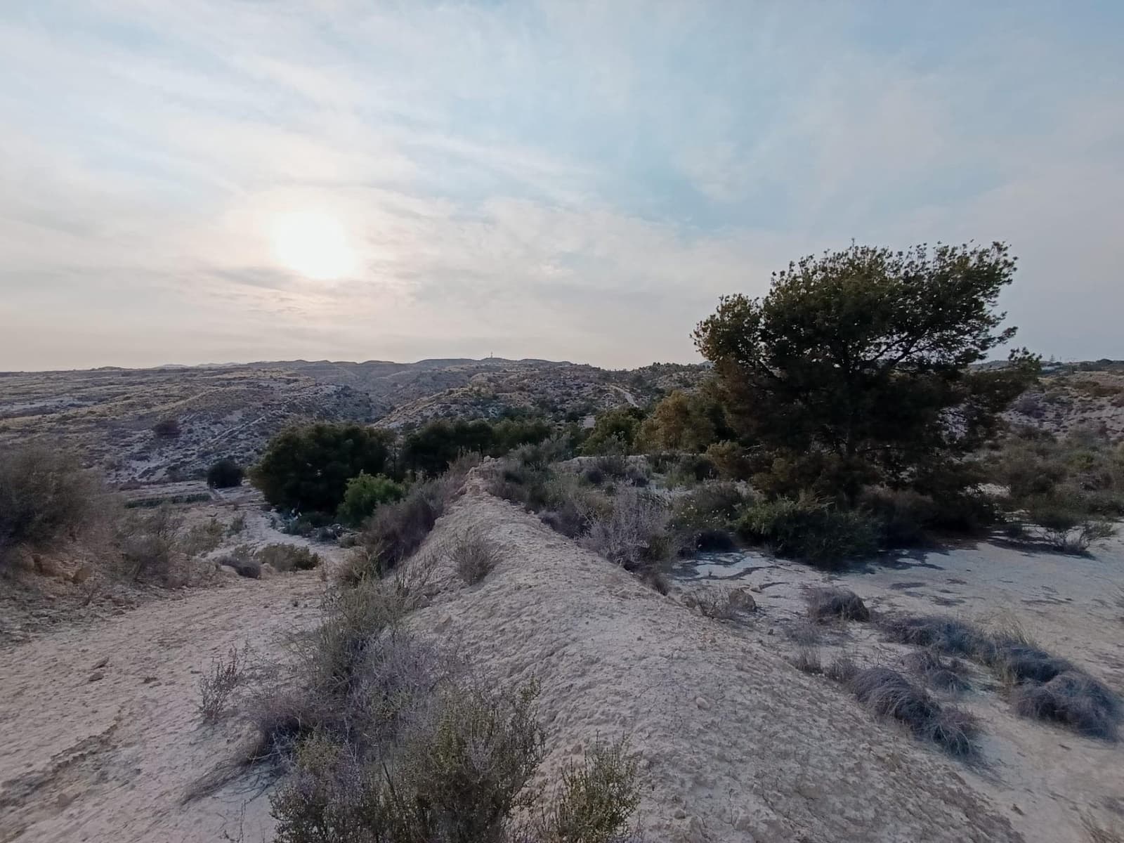 2 sypialnia Finka/Dom wiejski na sprzedaż w Elche / Elx - 130 000 € (Ref: 9218636)