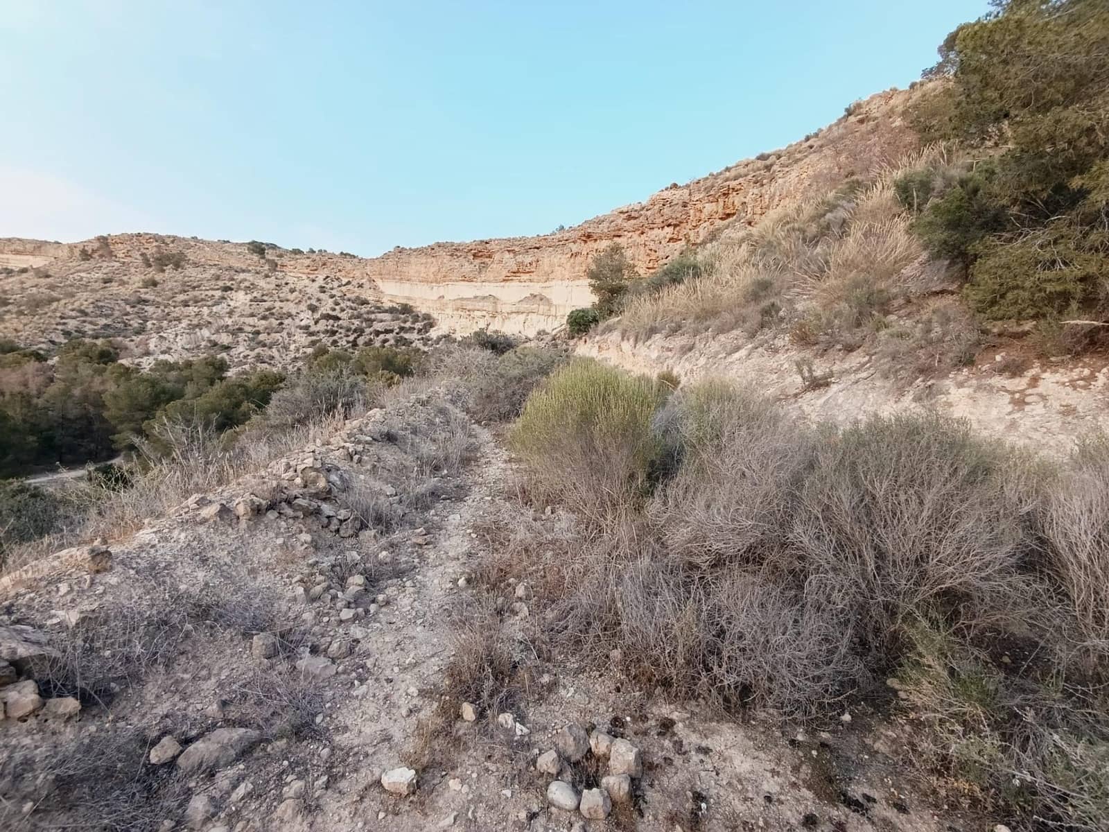 2 sypialnia Finka/Dom wiejski na sprzedaż w Elche / Elx - 130 000 € (Ref: 9218636)