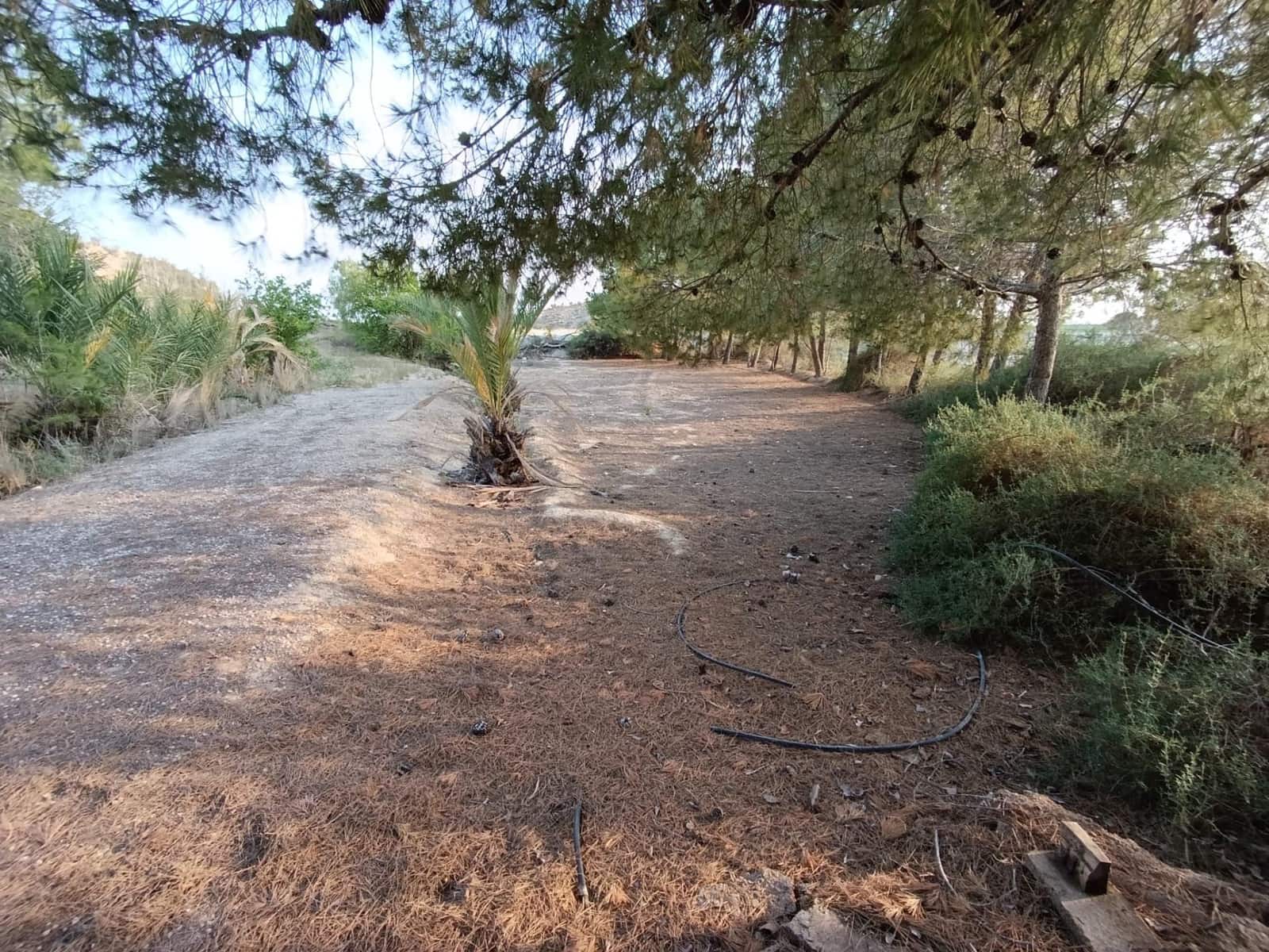 2 sypialnia Finka/Dom wiejski na sprzedaż w Elche / Elx - 130 000 € (Ref: 9218636)