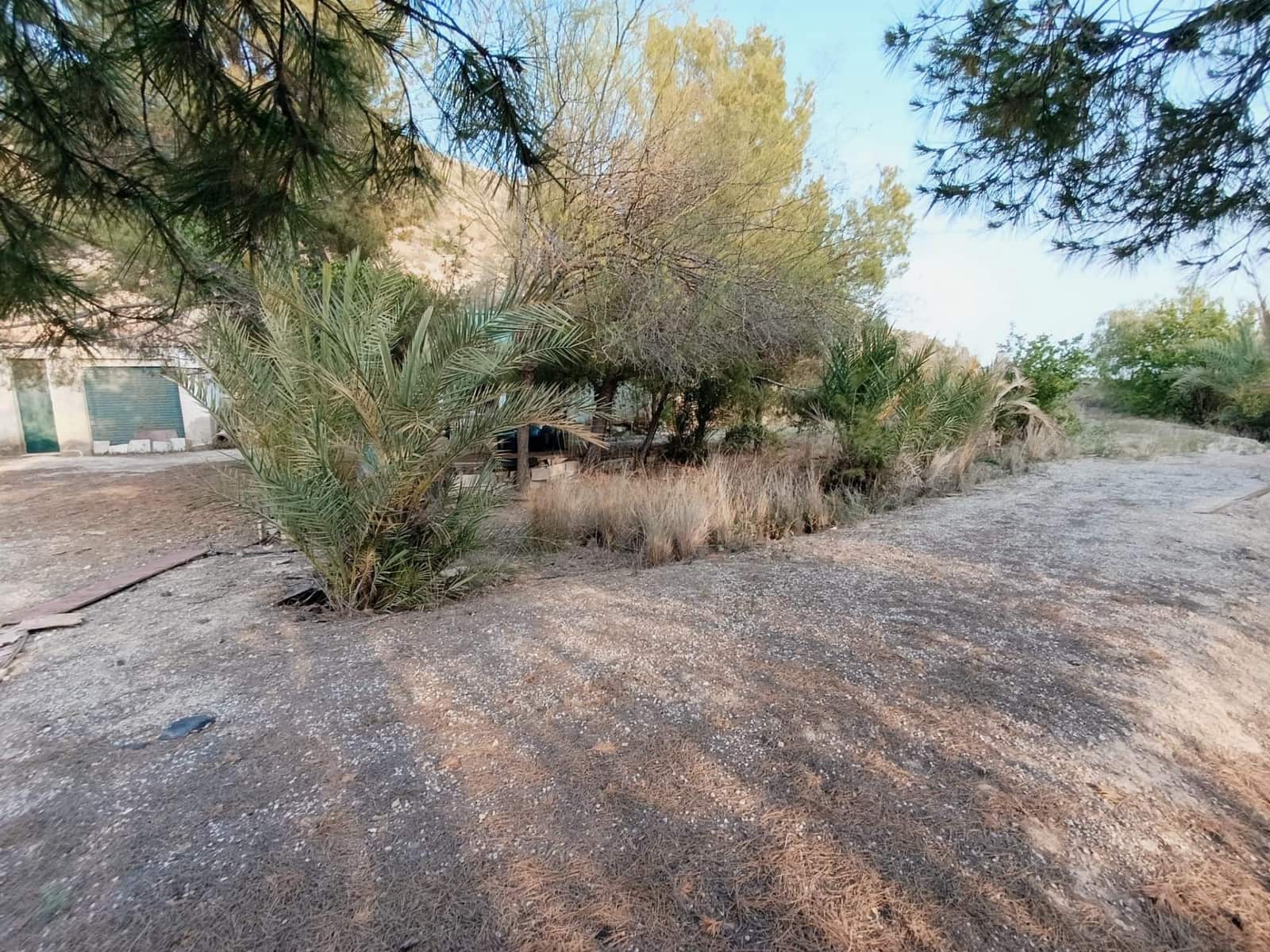 2 sypialnia Finka/Dom wiejski na sprzedaż w Elche / Elx - 130 000 € (Ref: 9218636)