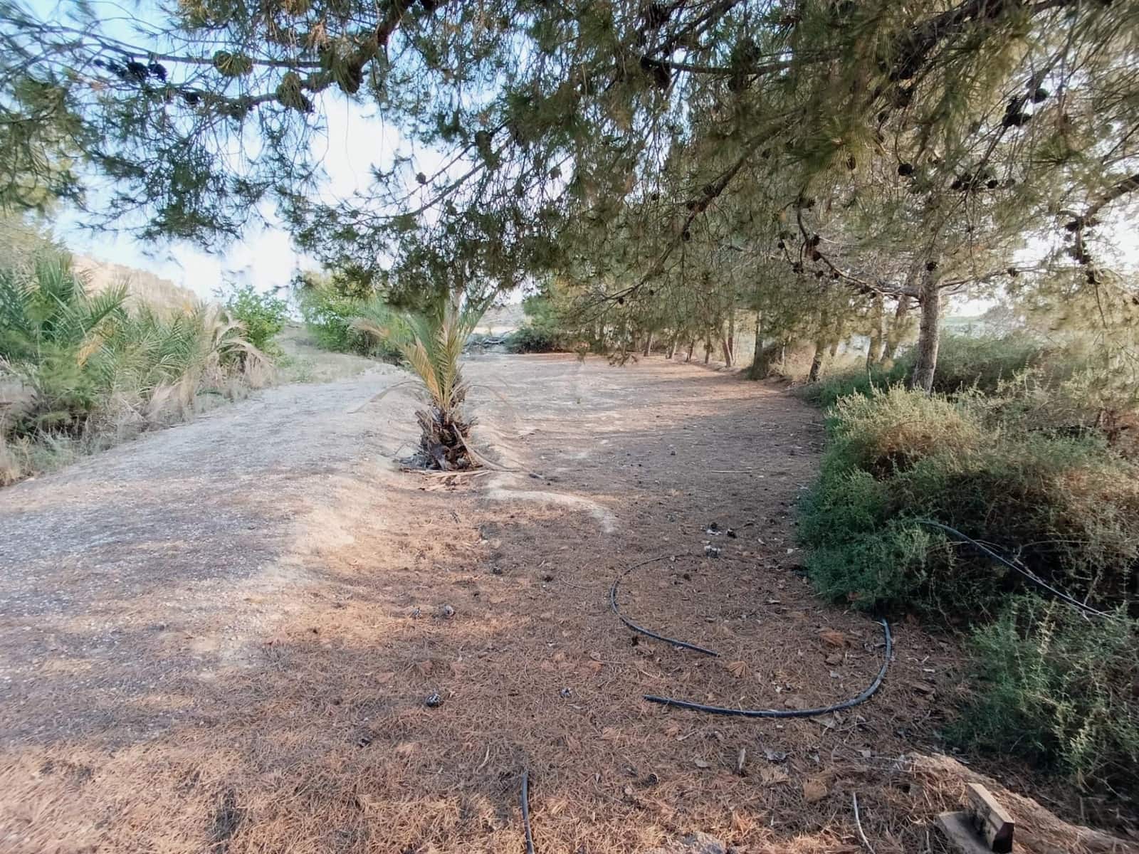 2 sypialnia Finka/Dom wiejski na sprzedaż w Elche / Elx - 130 000 € (Ref: 9218636)