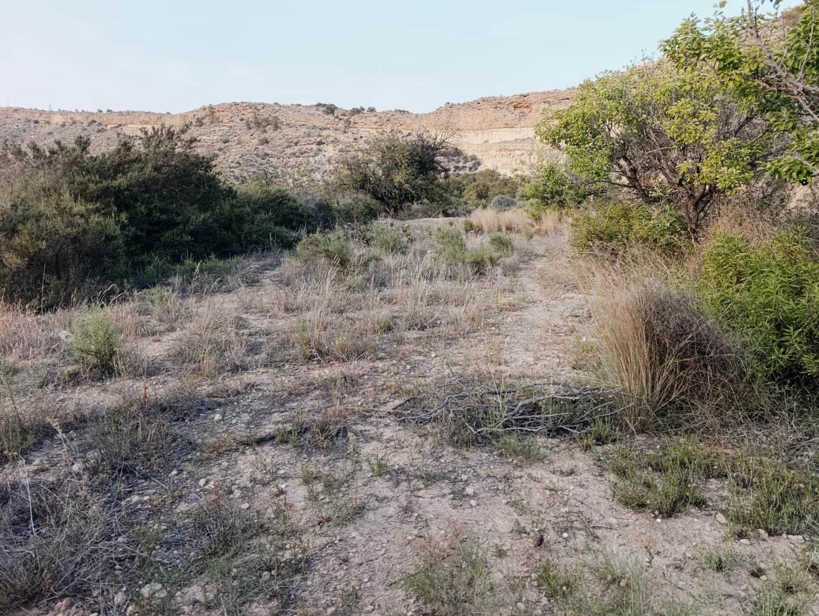 2 sypialnia Finka/Dom wiejski na sprzedaż w Elche / Elx - 130 000 € (Ref: 9218636)