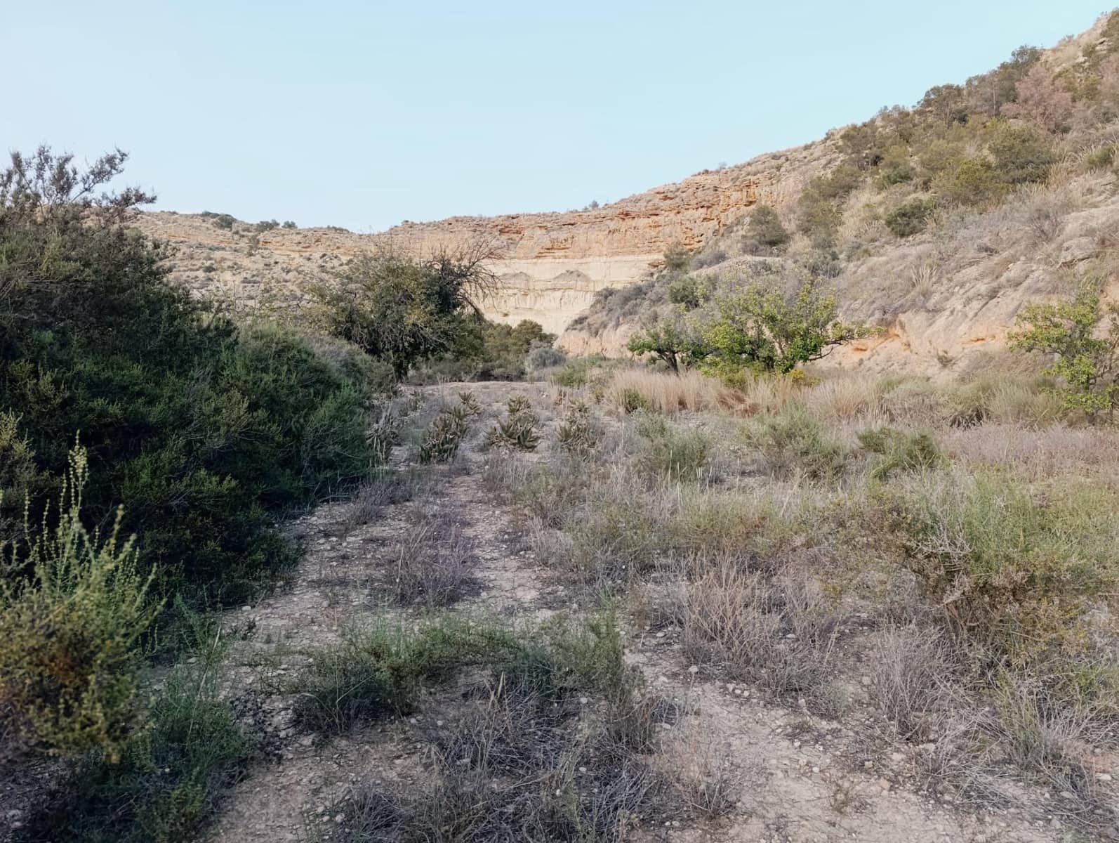 2 sypialnia Finka/Dom wiejski na sprzedaż w Elche / Elx - 130 000 € (Ref: 9218636)