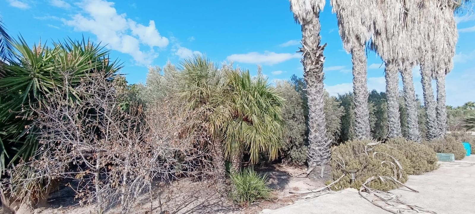 5 soverom Finca/Herregård til salgs i La Hoya med svømmebasseng - € 360 000 (Ref: 9255286)