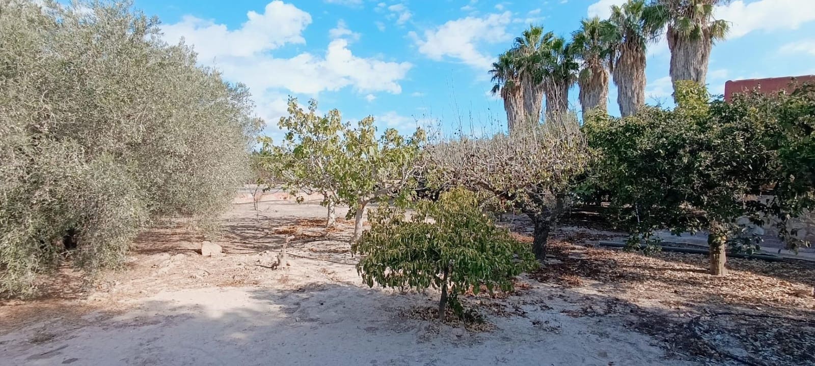 5 soverom Finca/Herregård til salgs i La Hoya med svømmebasseng - € 360 000 (Ref: 9255286)