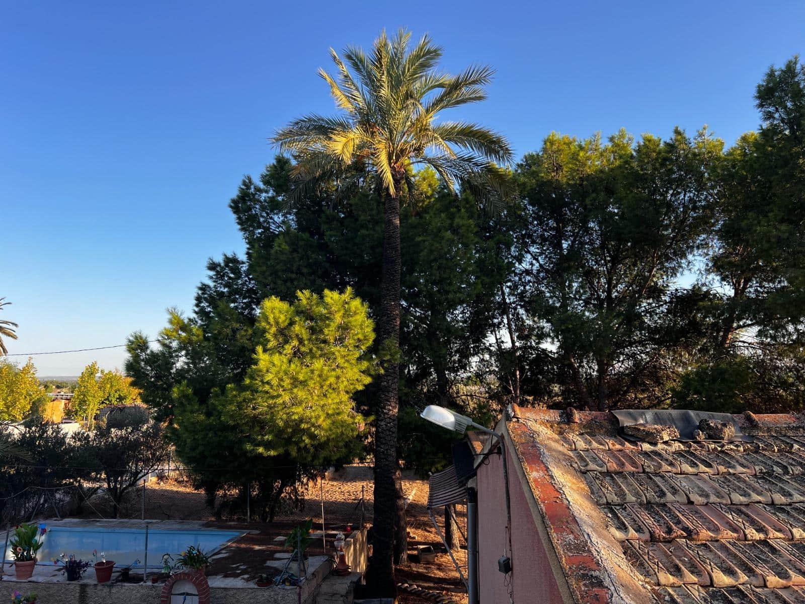 5 soveværelse Finca/Landehus til salg i Matola - € 249.000 (Ref: 9255287)