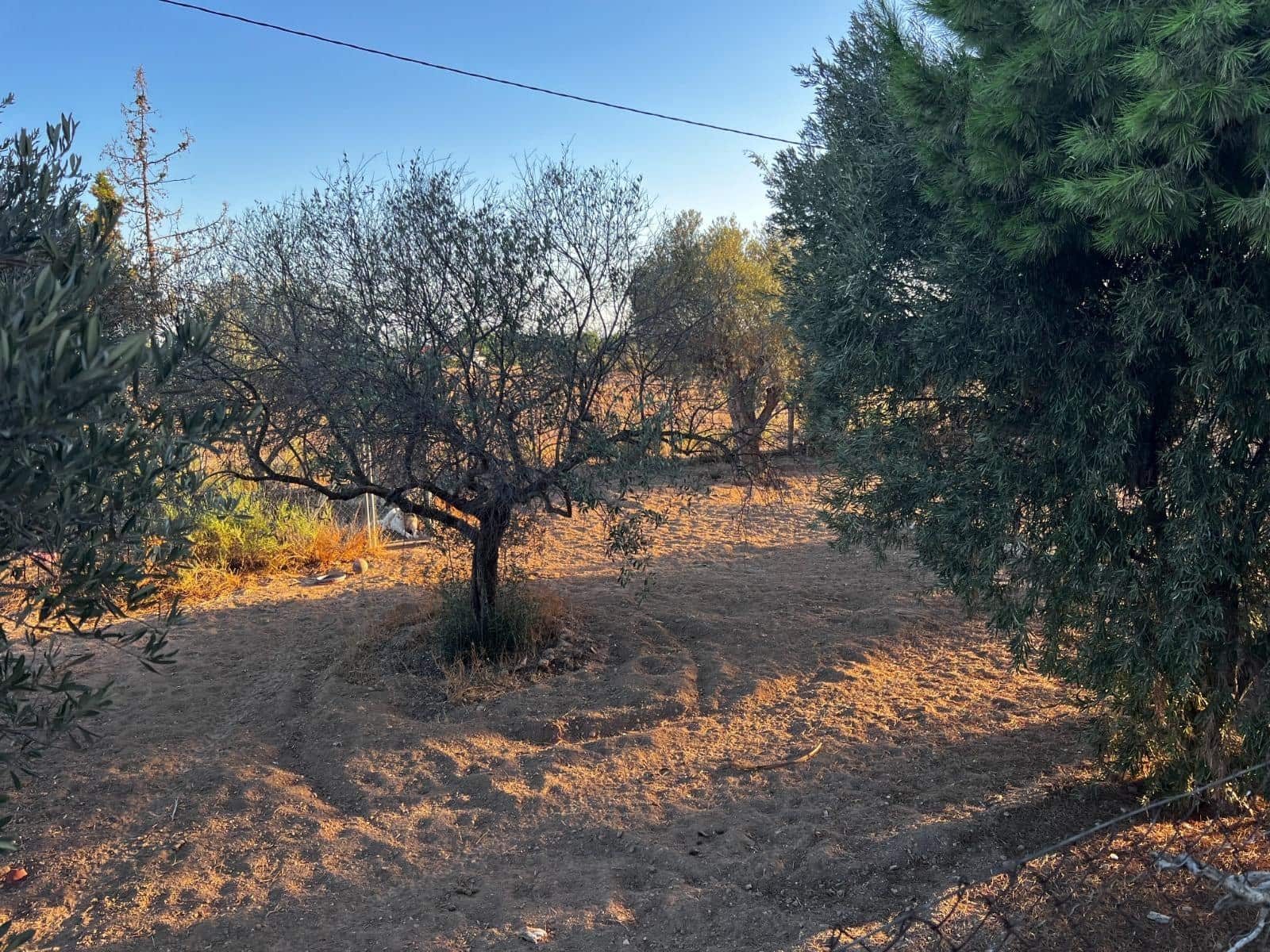 5 soveværelse Finca/Landehus til salg i Matola - € 249.000 (Ref: 9255287)