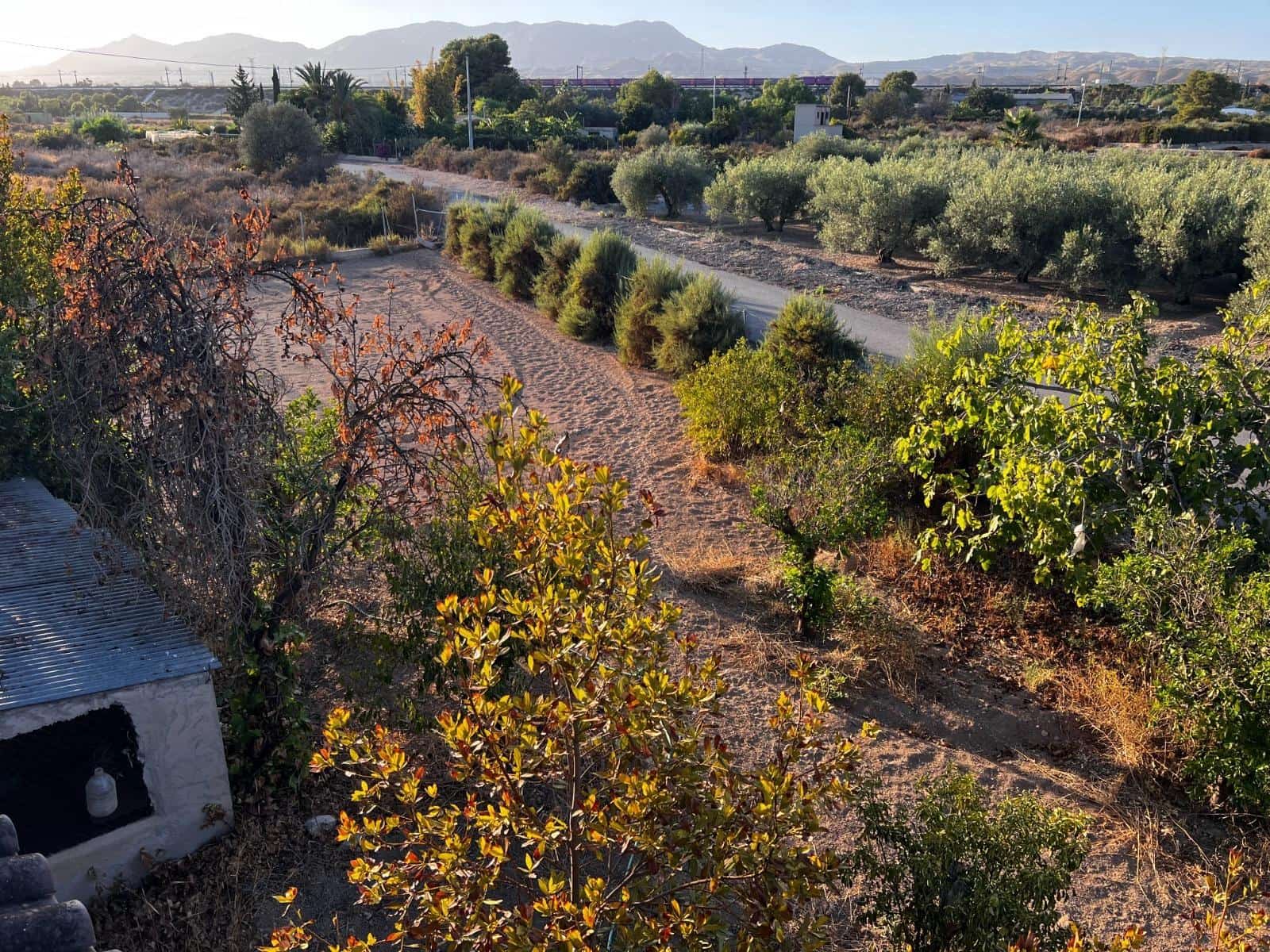 5 soveværelse Finca/Landehus til salg i Matola - € 249.000 (Ref: 9255287)