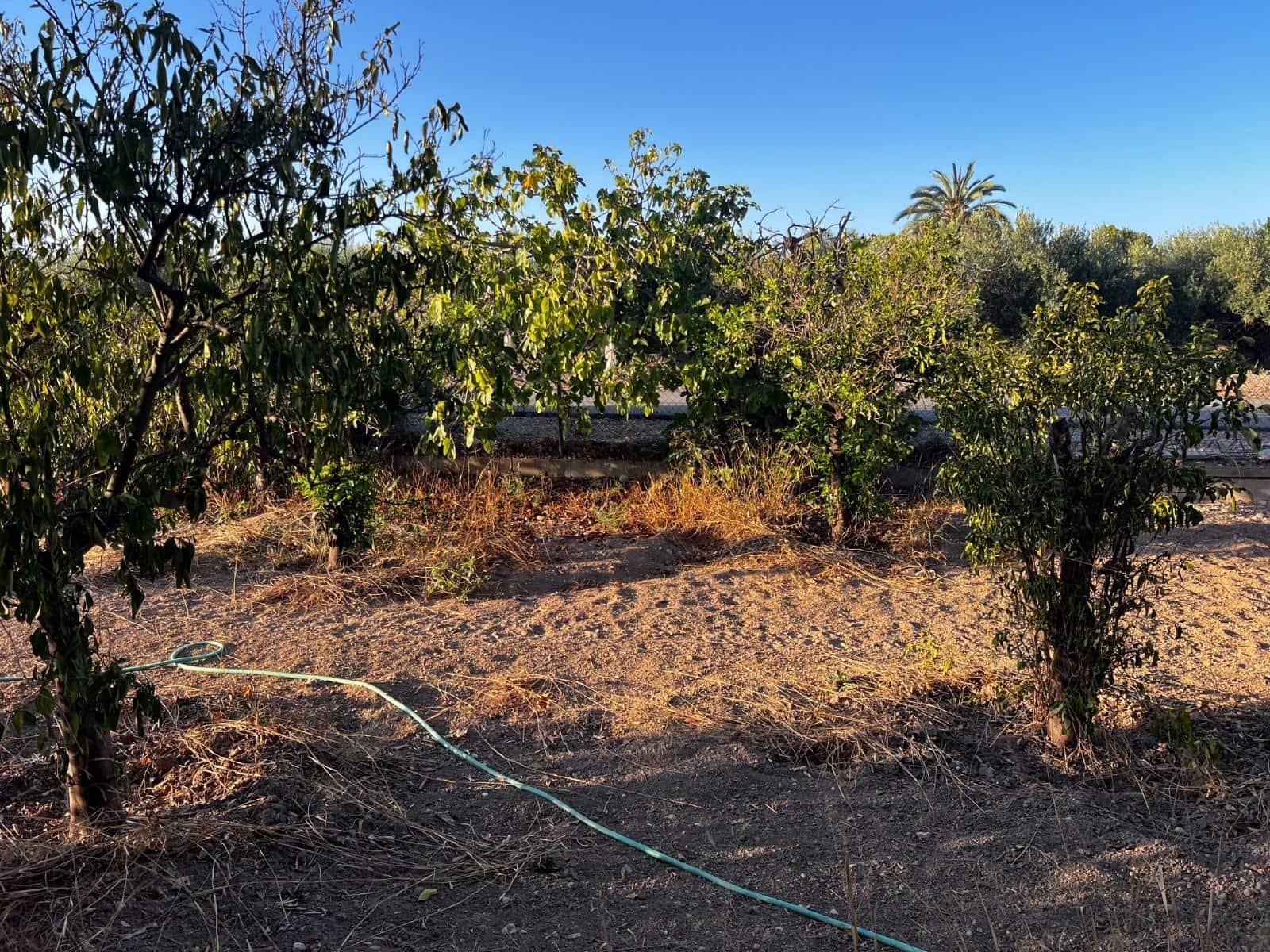 5 soveværelse Finca/Landehus til salg i Matola - € 249.000 (Ref: 9255287)