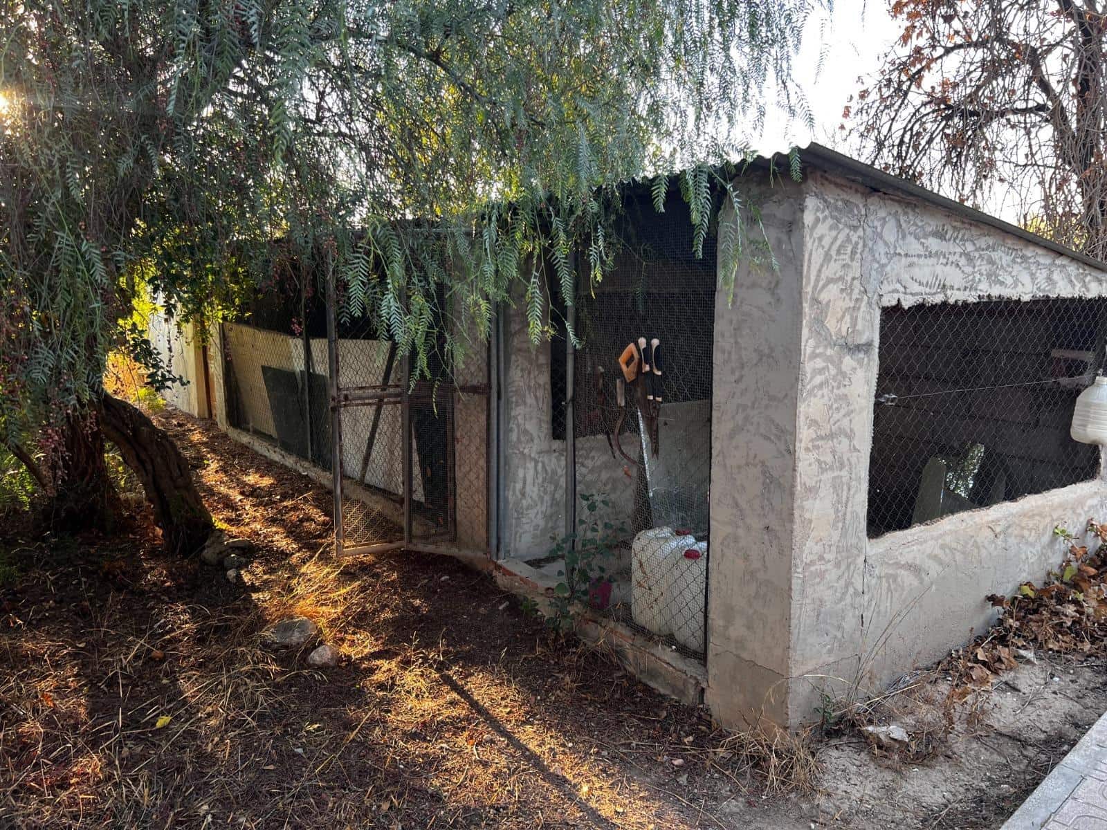 5 soveværelse Finca/Landehus til salg i Matola - € 249.000 (Ref: 9255287)