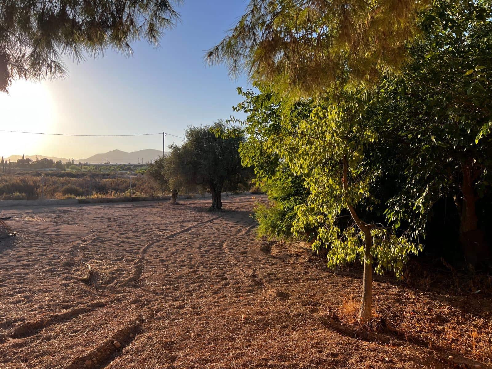 5 soveværelse Finca/Landehus til salg i Matola - € 249.000 (Ref: 9255287)