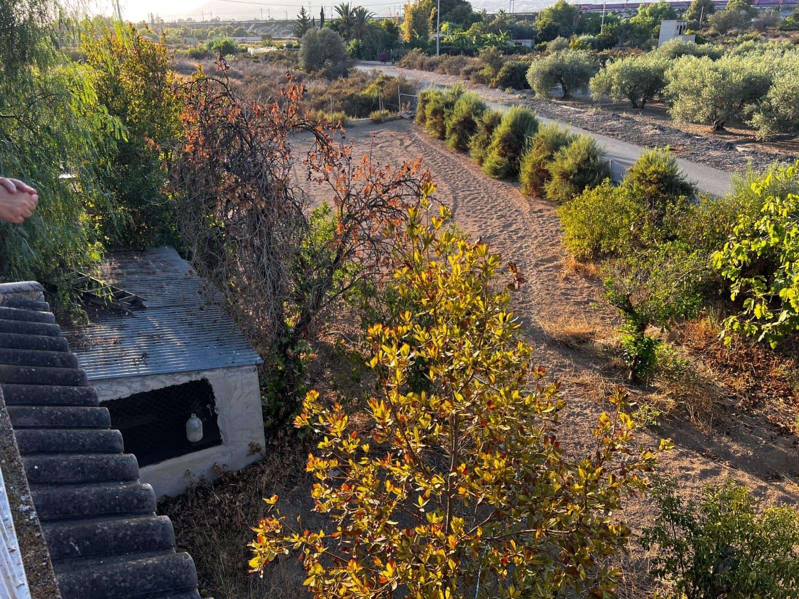 5 soveværelse Finca/Landehus til salg i Matola - € 249.000 (Ref: 9255287)