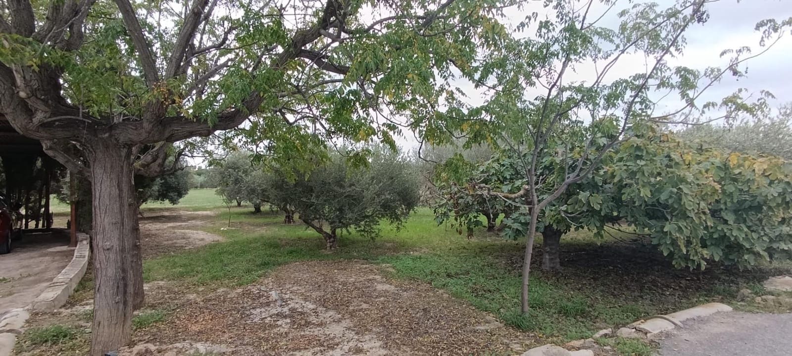 2 soverom Finca/Herregård til salgs i Matola med garasje - € 149 900 (Ref: 9344779)