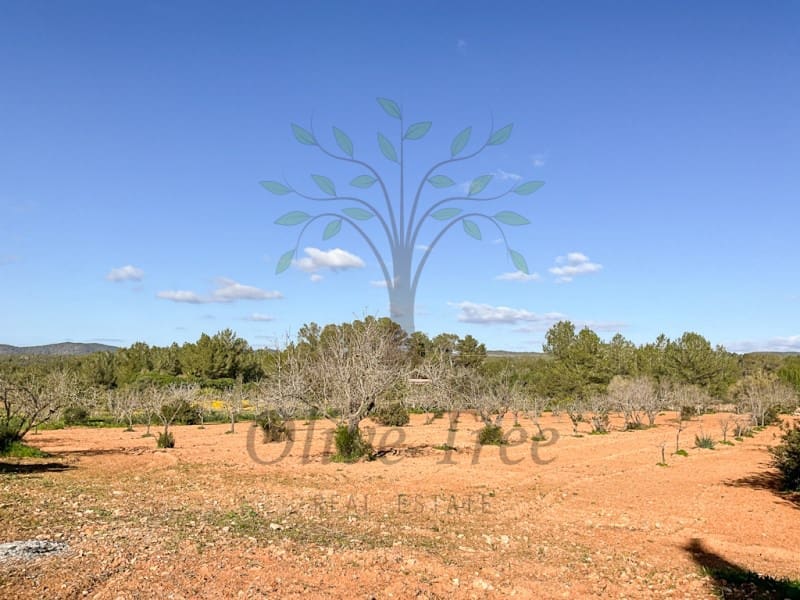 4 soveværelse Finca/Landehus til salg i Sant Rafael de Sa Creu med swimmingpool garage - € 4.465.000 (Ref: 8756211)