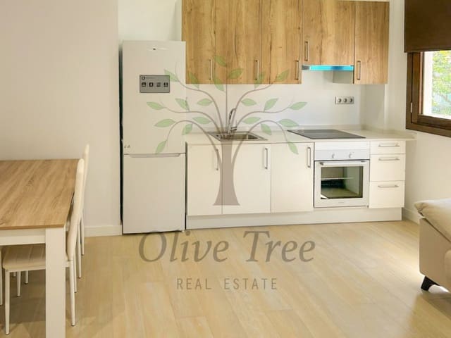 1 bedroom Apartment for rent in Sant Antoni de Portmany - € 1,600 (Ref: 8944229)