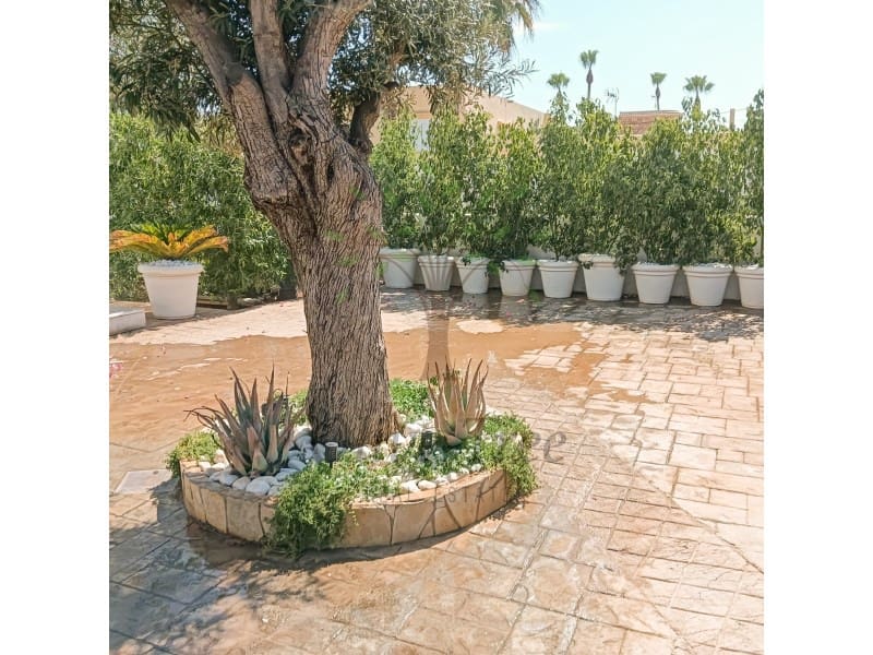 5 camera da letto Finca/Casa di Campagna da affittare in Sant Jordi de Ses Salines con piscina - 9.000 € (Rif: 9132787)