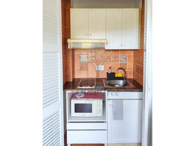 Appartement de 1 chambre à louer à Cala de San Vicente, Sant Joan de Labritja - 1 000 € (Ref: 9396589)