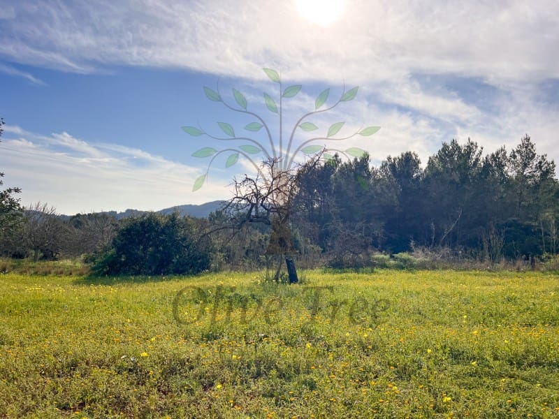 1 bedroom Studio for rent in Sant Joan de Labritja with garage - € 2,100 (Ref: 9509432)