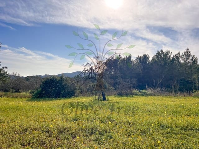 1 Zimmer Studio zu vermieten in Sant Joan de Labritja mit Garage - 2.100 € (Ref: 9509432)