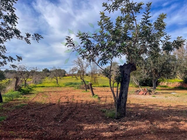 Studio de 1 chambre à louer à Sant Joan de Labritja avec garage - 2 100 € (Ref: 9547916)