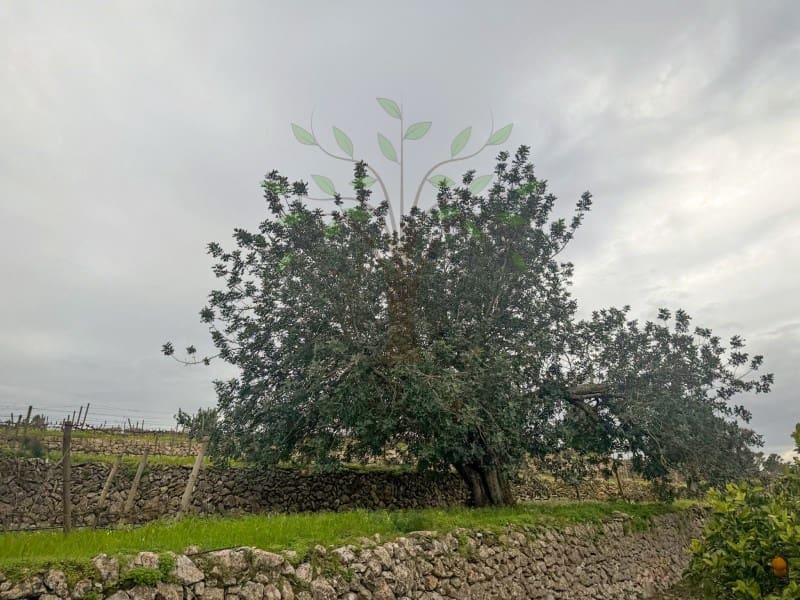 6 slaapkamer Finca/Landhuis te huur in Sant Llorenc de Balafia met zwembad garage - € 9.000 (Ref: 9547917)