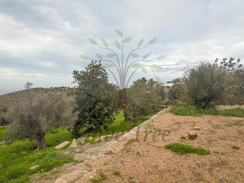 6 slaapkamer Finca/Landhuis te huur in Sant Llorenc de Balafia met zwembad garage - € 9.000 (Ref: 9547917)