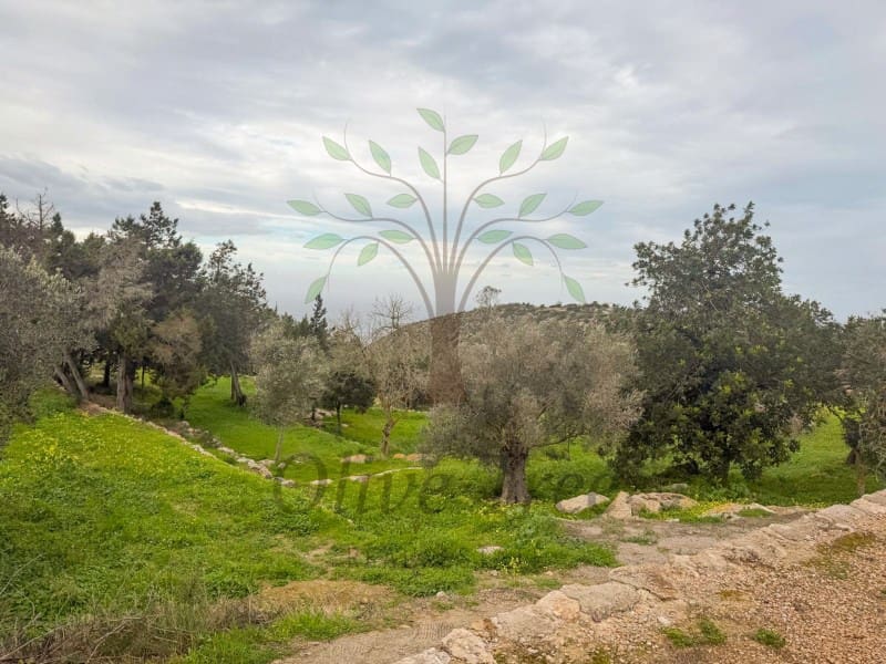 6 slaapkamer Finca/Landhuis te huur in Sant Llorenc de Balafia met zwembad garage - € 9.000 (Ref: 9547917)