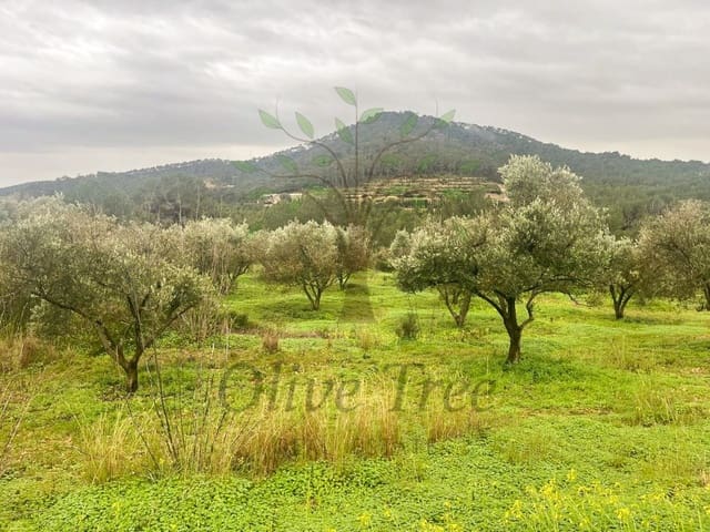 Tomt till salu i Can Furnet, Santa Eulalia / Santa Eularia - 2 100 000 € (Ref: 9586649)