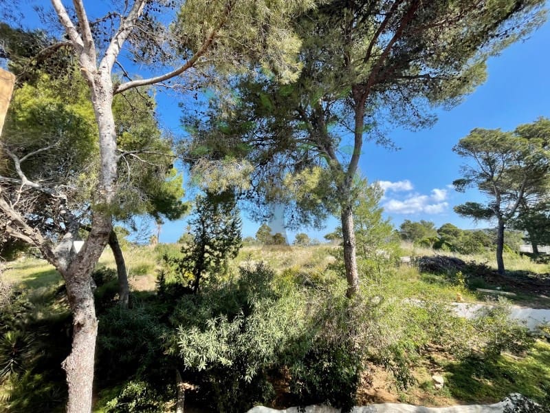 2 soverom Leilighet til leie i Cala Vadella - € 1 900 (Ref: 9806395)