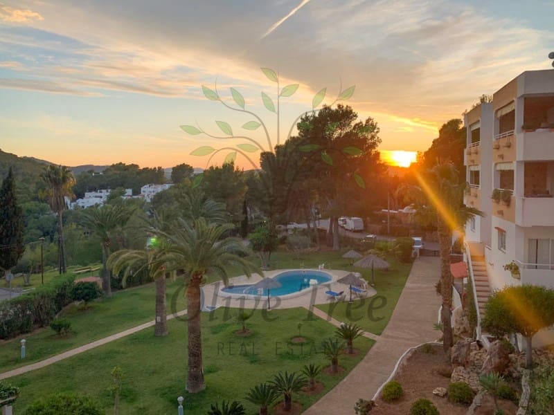 1 bedroom Apartment for rent in Valverde with pool - € 2,400 (Ref: 9833789)
