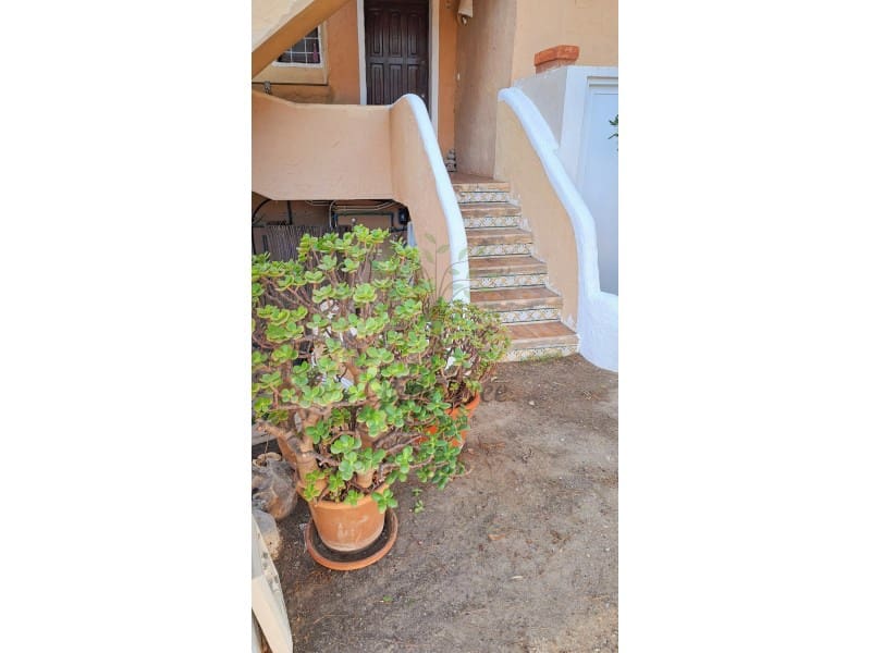 Studio for rent in Cala Vadella - € 1,200 (Ref: 9920162)
