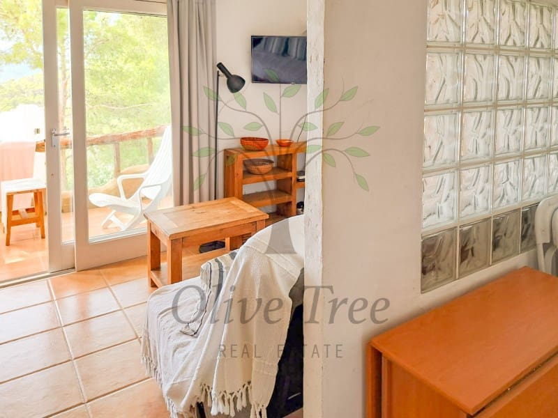 Studio for rent in Cala Vadella - € 1,200 (Ref: 9920162)
