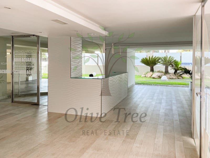 1 soverom Leilighet til salgs i Talamanca - € 458 000 (Ref: 9986596)