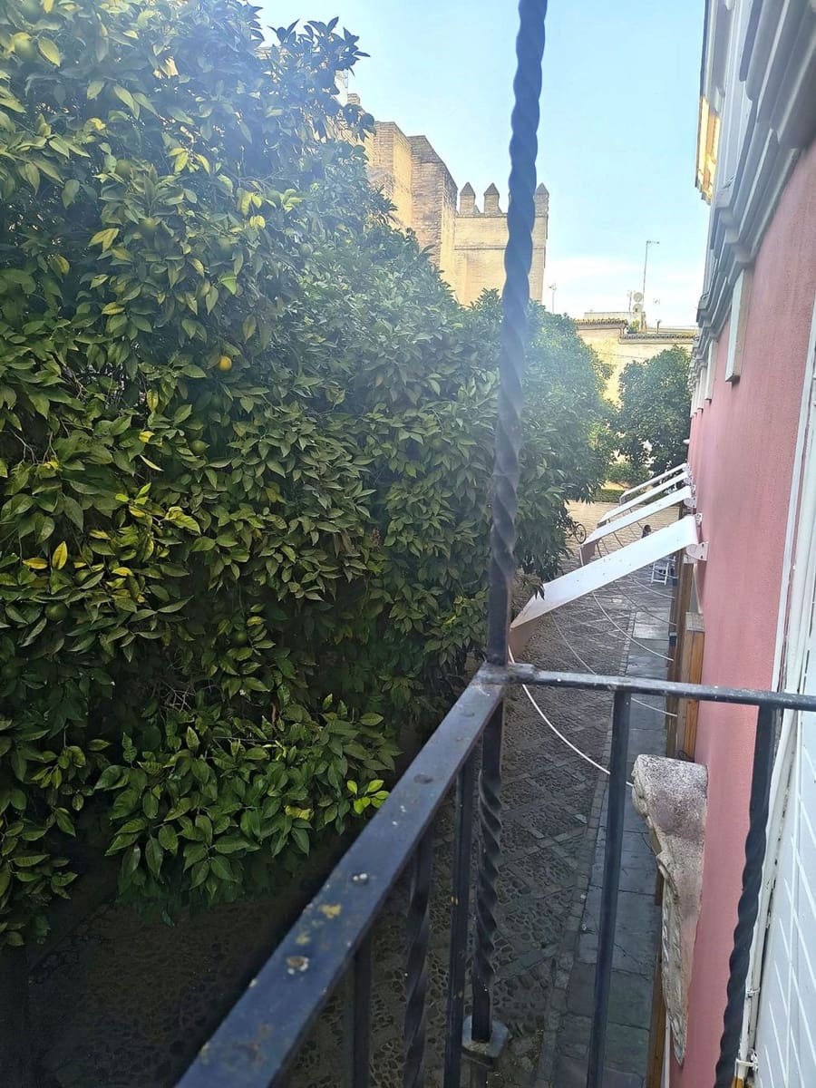 Apartamento de 1 habitación en Sevilla ciudad en venta con garaje - 900.000 € (Ref: 10158927)