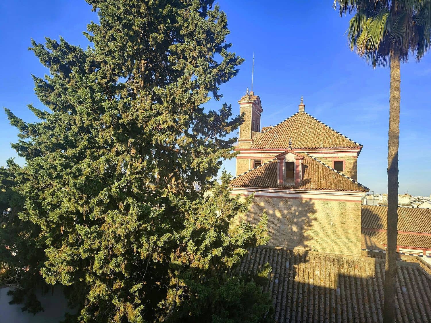 Apartamento de 1 habitación en Sevilla ciudad en venta con garaje - 900.000 € (Ref: 10158927)