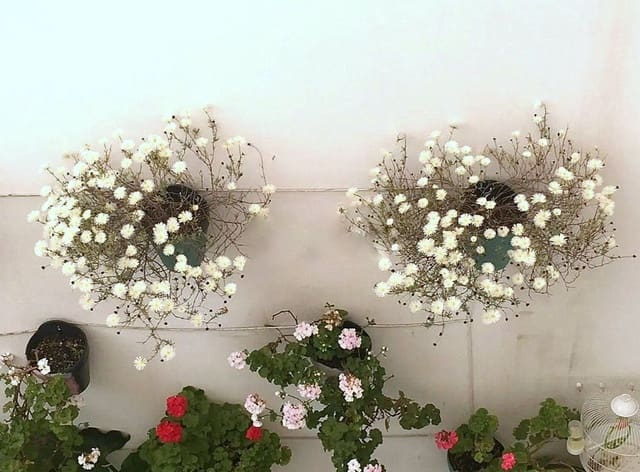 5 bedroom Townhouse for sale in Nervión, Seville city with pool garage - € 690,000 (Ref: 9413735)