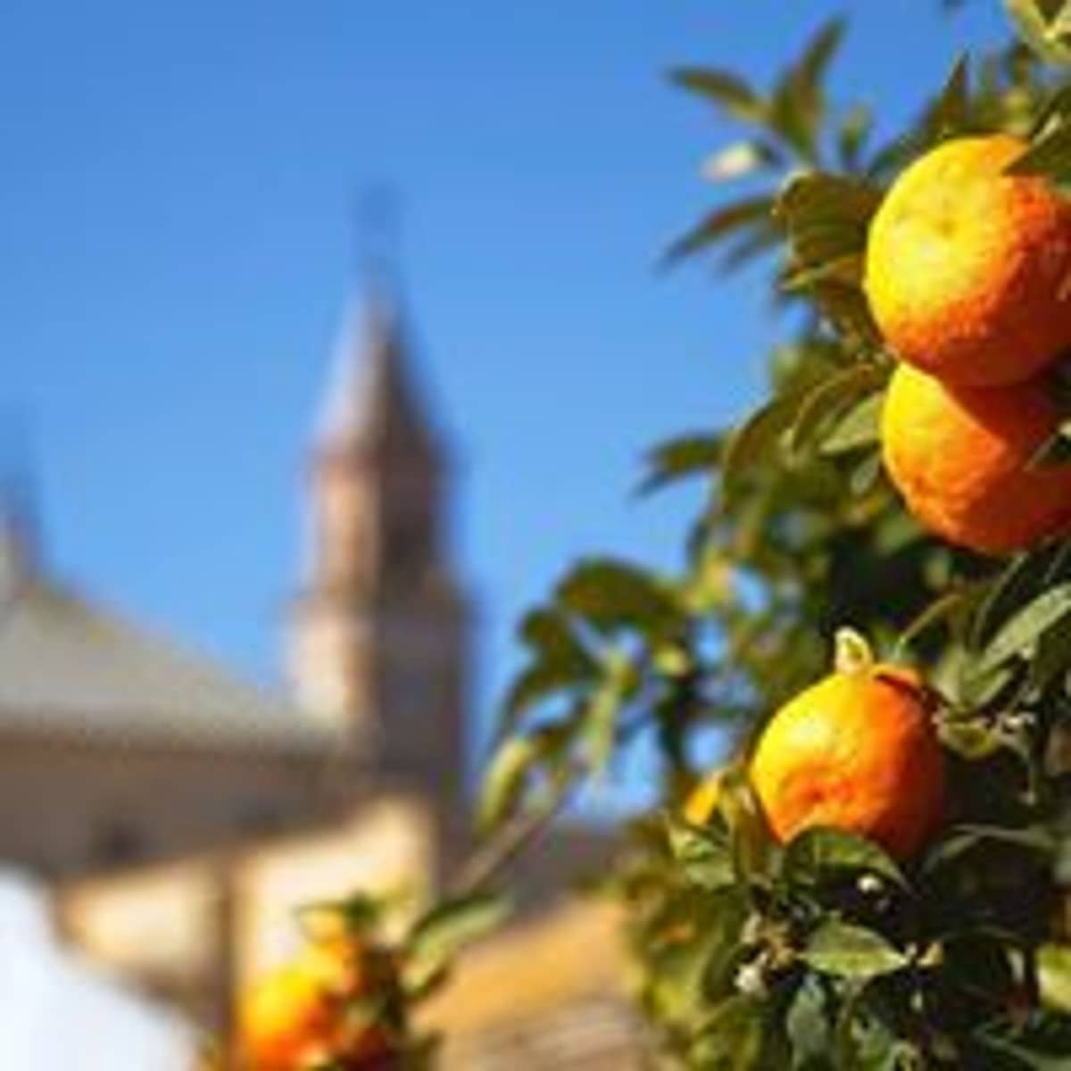 5 soverom Leilighet til salgs i Sevilla by med garasje - € 1 150 000 (Ref: 9413736)