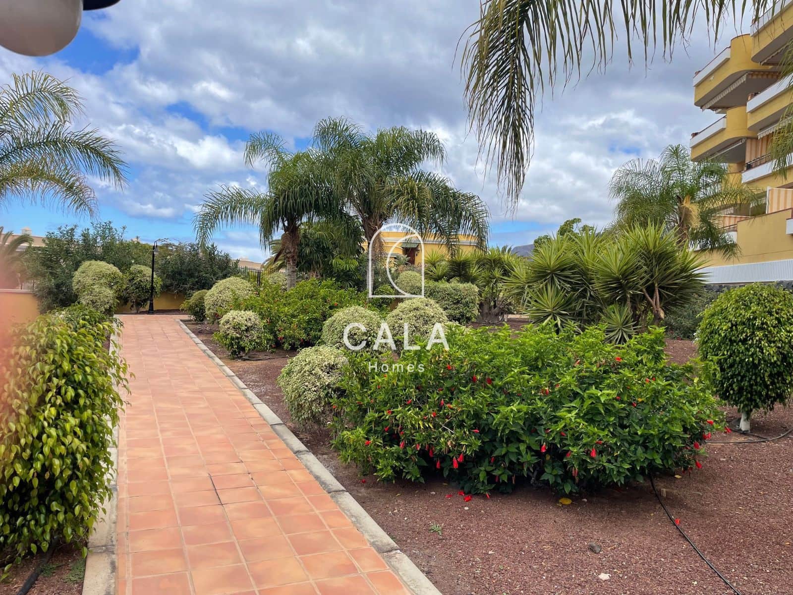 3 soveværelse Lejlighed til salg i Puerto Santiago med swimmingpool garage - € 620.000 (Ref: 9293423)