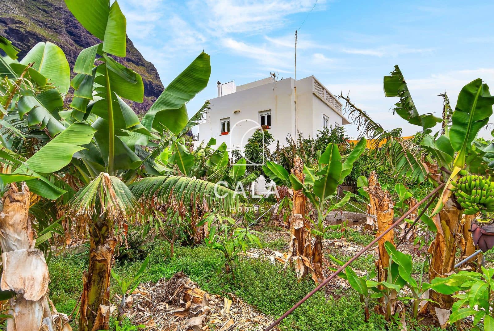 7 slaapkamer Villa te koop in Garachico met garage - € 650.000 (Ref: 9866165)