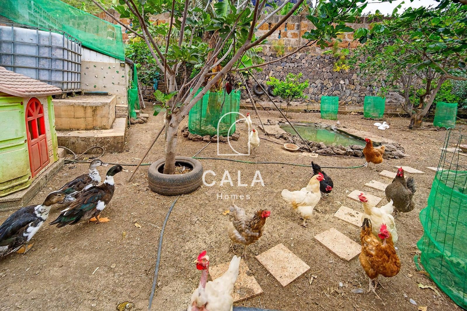 7 slaapkamer Villa te koop in Garachico met garage - € 650.000 (Ref: 9866165)